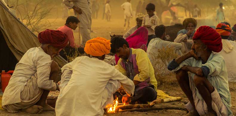 Inde du Nord - Rajasthan la foire au chameau à Pushkar