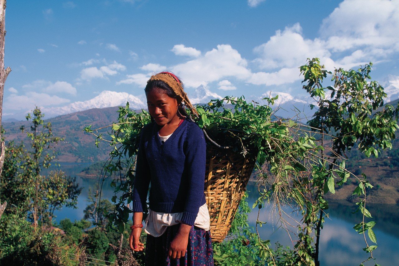 Jour9 : Pokhara, le " Saint-Trop' " du Népal