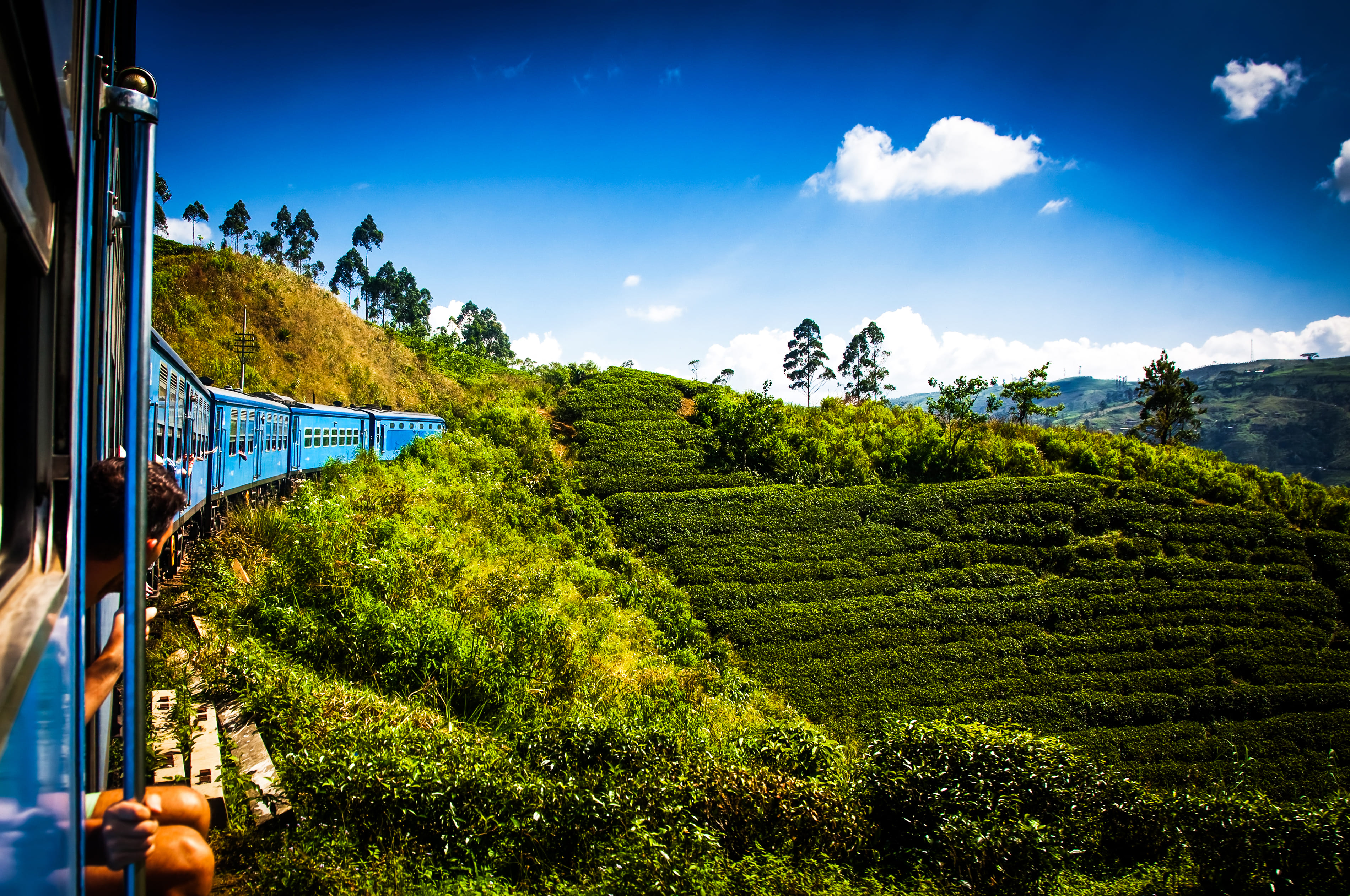 Train traversant les plantations de the de Nuwara Eliya.