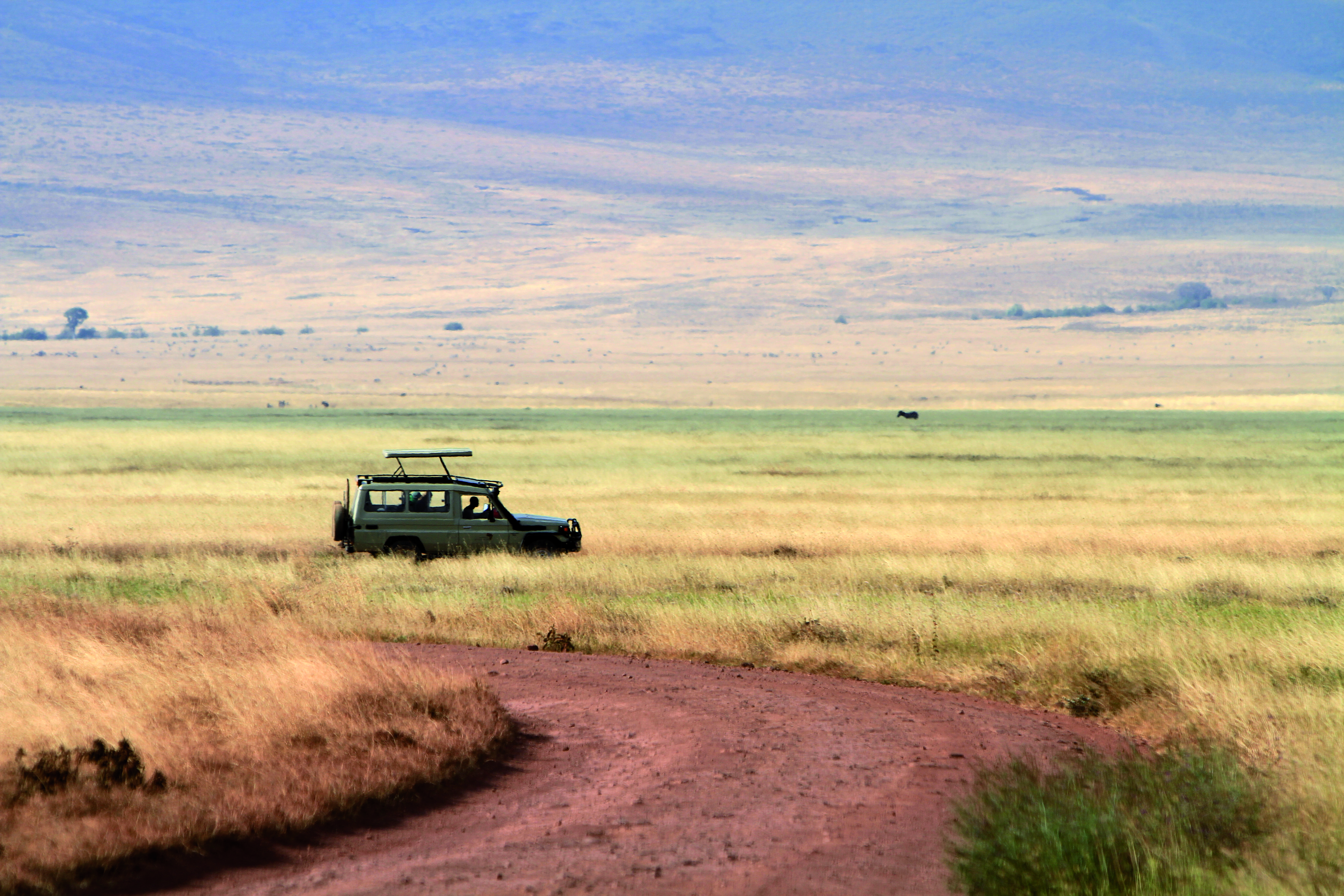 Safari dans l'aire de conservation du Ngorongoro