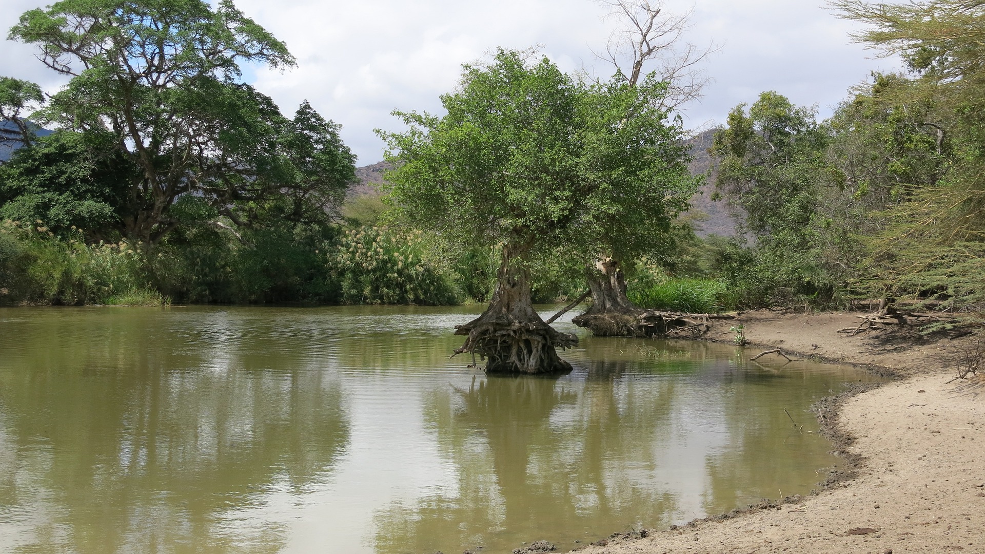 Dia5 : Parque Nacional del Lago Manyara-Arusha