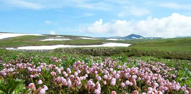 Verkenning in Siberië: wilde landen en mysteries