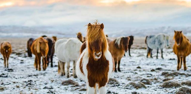 Explorar Islandia fuera de los caminos trillados