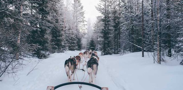 Découvrir la Finlande autrement