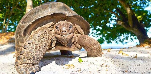 Le Seychelles, tesori nascosti da scoprire