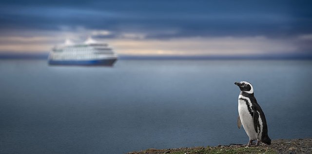 Explora la Patagonia fuera de los caminos trillados