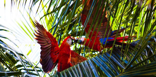 The Unknown Nicaragua: Hidden Treasures to Explore
