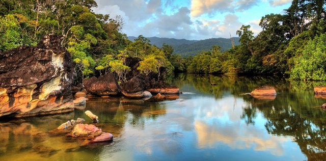 Authentic Discovery of Madagascar