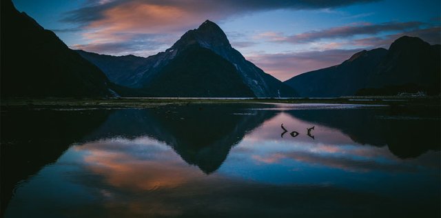 Esplora la Nuova Zelanda in modo diverso