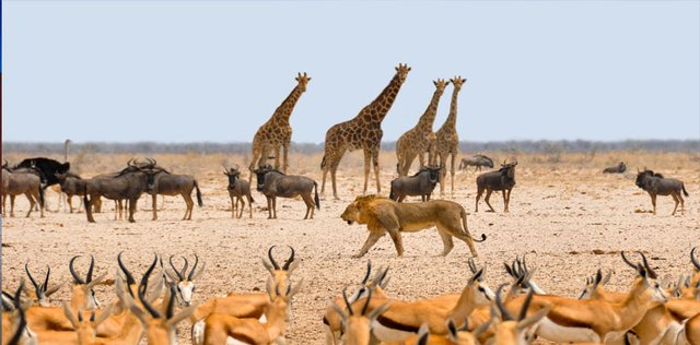 Exploring Unknown Namibia