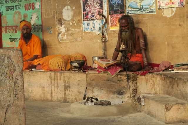 Entdeckung von Rajasthan, Tiger und erotischen Tempeln