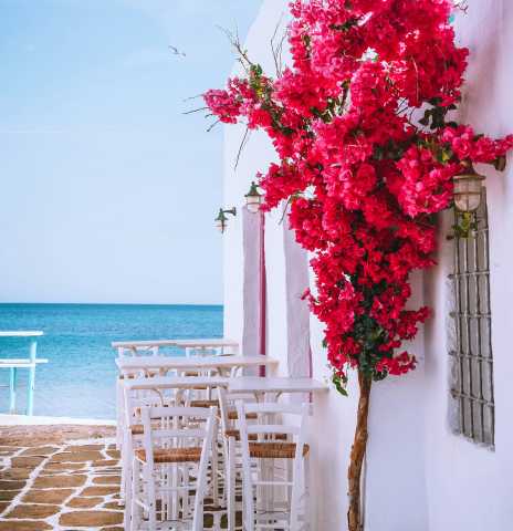 Une histoire d'amour en Grèce : Athènes, Mykonos, Paros & Santorin