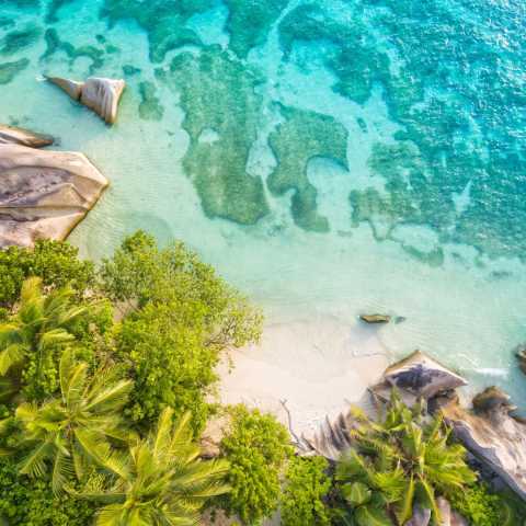 Fuga alle Seychelles: tra Mahé e Praslin