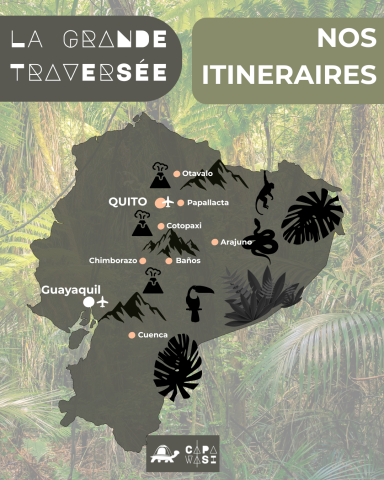 The Great Crossing of the Equator - in a small French-speaking group