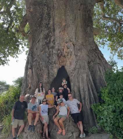 1-Daagse Tarangire Safari vanuit Arusha - Wildlife & schilderachtig avontuur