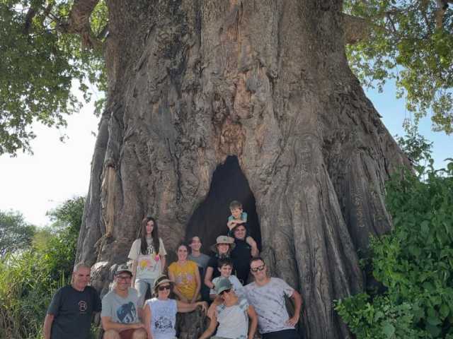 Safari de 1 jour à Tarangire depuis Arusha - Aventure faunique & panoramique