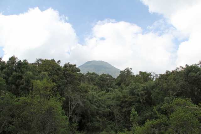 4-day gorilla trekking tour in Mt. Mgahinga National Park, Uganda