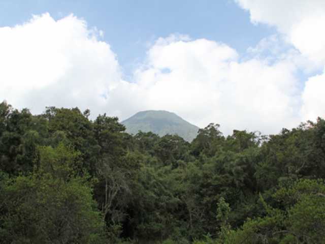Circuit de 4 jours de trekking avec les gorilles dans le parc national du Mont Mgahinga, Ouganda