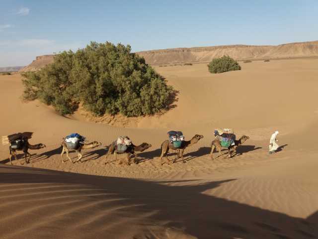 Trek et randonnée dans le désert – Vallée du Drâa – 5 jours