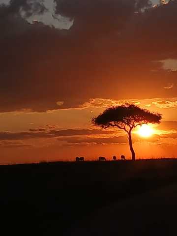 Ontdek Kenia’s Big Five – 7-daagse safari