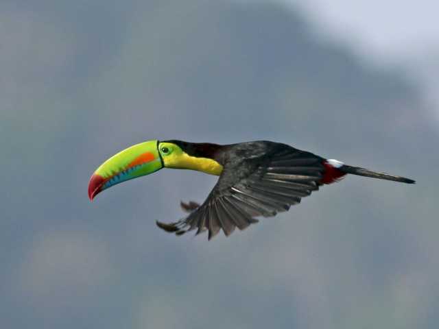 Fauna, flora en ontspanning – een gevarieerd en voordelig verblijf
