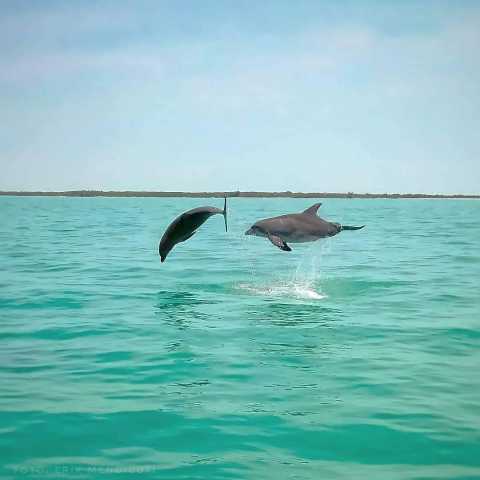 El circuito de Yucatán ☀️