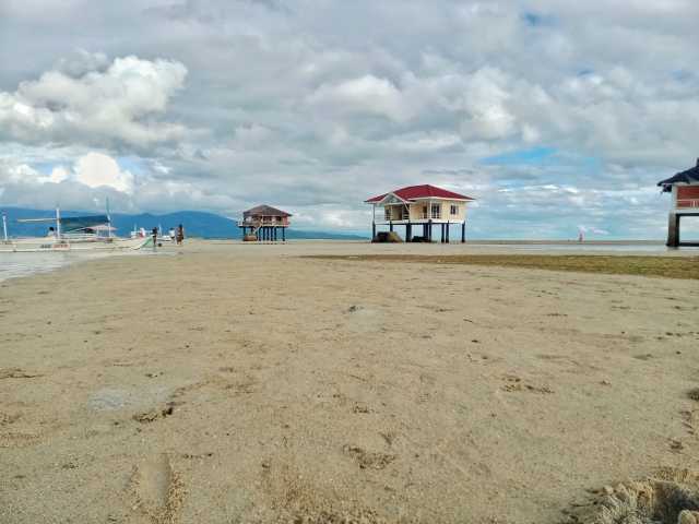 Tour di 2 giorni ad Apo Island e Manjuyod Sandbar con sistemazione in hotel