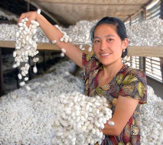 Das cidades lendárias da Rota da Seda ao vale dourado de Fergana