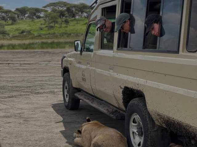 Excursion d’une journée au cratère du Ngorongoro - Safari privé depuis Arusha