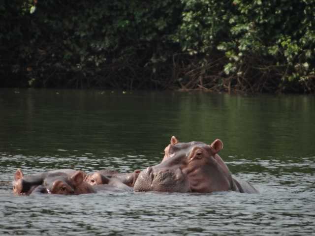 Stay in Côte d’Ivoire: culture, traditions, adventures and discoveries