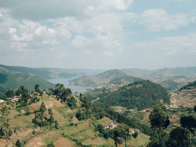 Safari de 4 jours de trekking des gorilles et des singes dorés