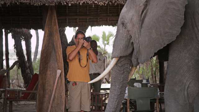 Simba Safari: Discover the Wild Side of Tanzania