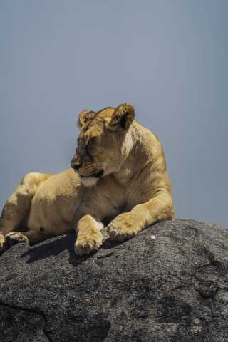 Évasion de 11 jours entre brousse et plage en Tanzanie