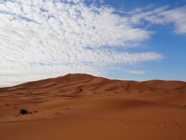 Sable y Oasis – Road trip al corazón del desierto marroquí