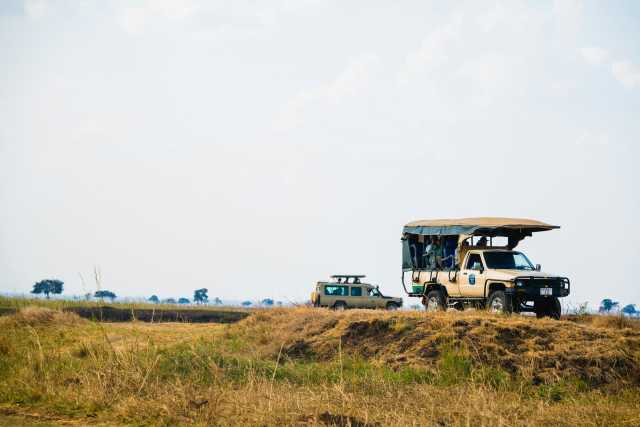 Ngorongoro Krater Dagtocht - Privésafari vanuit Arusha