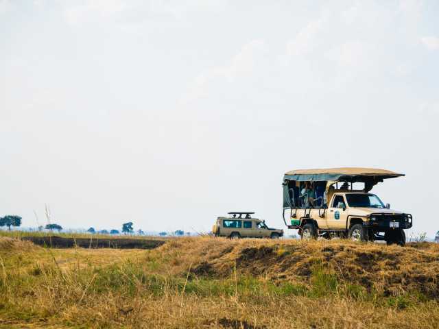 Excursion d’une journée au cratère du Ngorongoro - Safari privé depuis Arusha