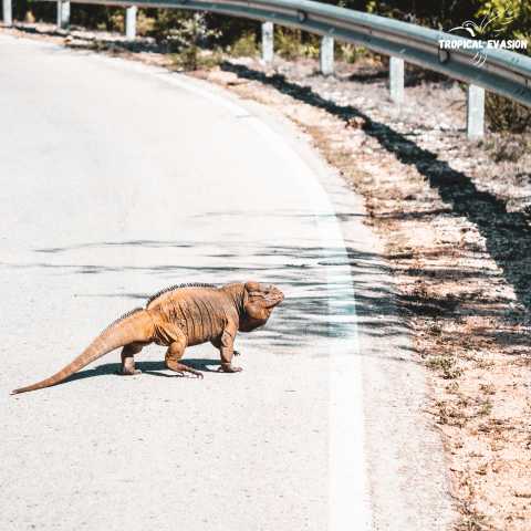 Alla scoperta del Sud Dominicano