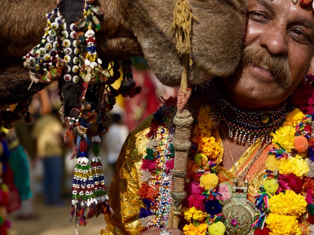 Caleidoscopio cultural: Descubre los tesoros dorados de la India