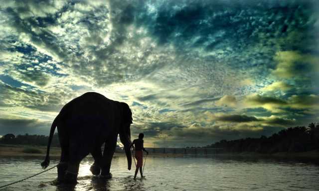 Familienreise: Natur, Elefanten und Wanderwege