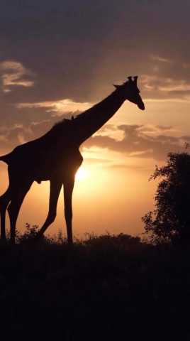 5-daagse Tanzania Safari: Tarangire, Serengeti & Ngorongoro Avontuur