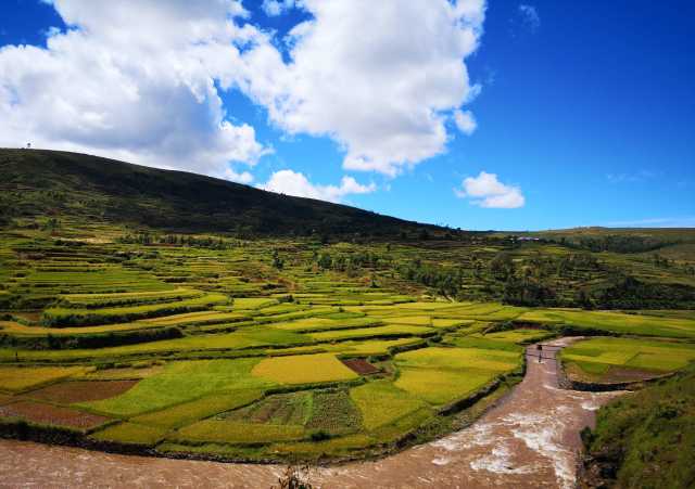 O Grande Sul de Madagascar