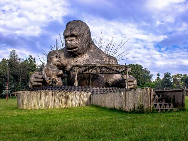 Rwanda & Ouganda Trekking avec les gorilles & Safari animalier