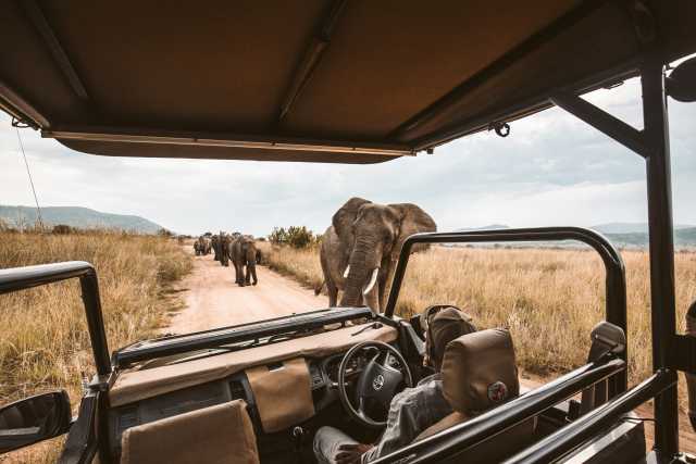 7-Day Luxury Kruger Safari Trip