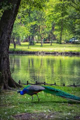 Albania with all the senses, a unique journey for everyone