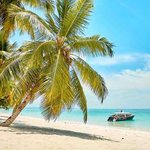 O norte de Madagascar em 11 dias