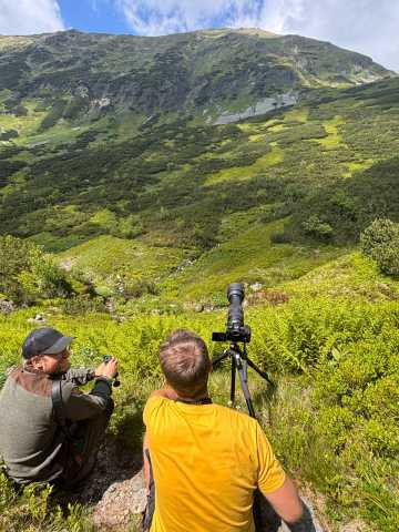 Tour di 1 giorno di escursionismo e osservazione degli orsi nei Monti Tatra Alti