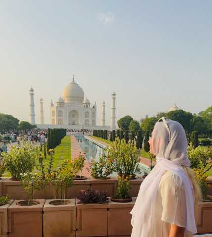 Taj Mahal Tour + Tiger Safari