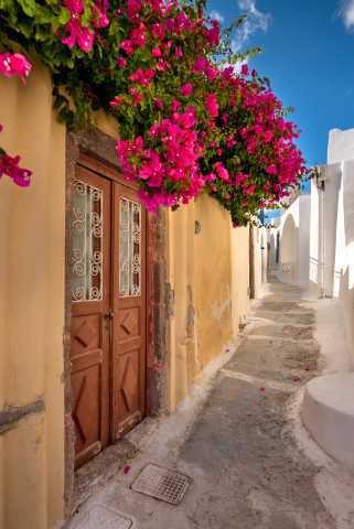 L’Essence de la Grèce : Athènes, Naxos & Santorin