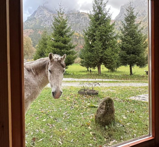 Out of This World, 13 Days in Alien Places