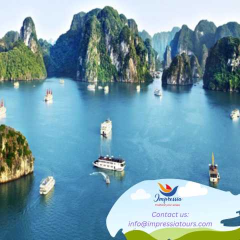 Avventura di una giornata in crociera nella Baia di Halong